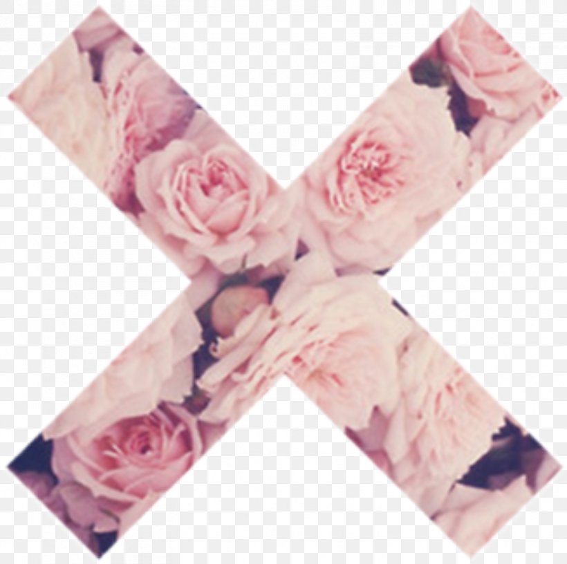 Desktop Wallpaper Roses Flower Pink, PNG, 835x831px, Rose, Computer Monitors, Display Resolution, Flower, Lilac Download Free