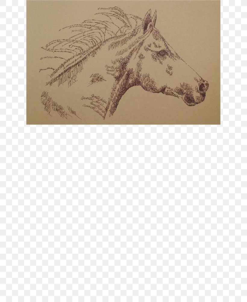 Giraffe American Quarter Horse Mustang Visual Arts, PNG, 645x1000px, Giraffe, American Quarter Horse, Animal, Art, Artwork Download Free