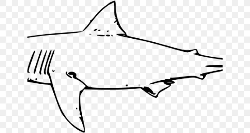 Great White Shark Background, PNG, 641x437px, Shark, Bull Shark, Carcharhiniformes, Cartilaginous Fish, Coloring Book Download Free