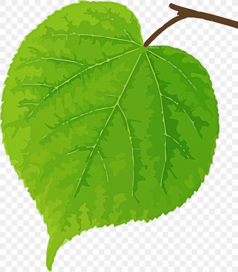 Bodhi Leaf Bodhi Day Bodhi, PNG, 2618x3000px, Bodhi Leaf, Bodhi, Bodhi Day, Flower, Green Download Free