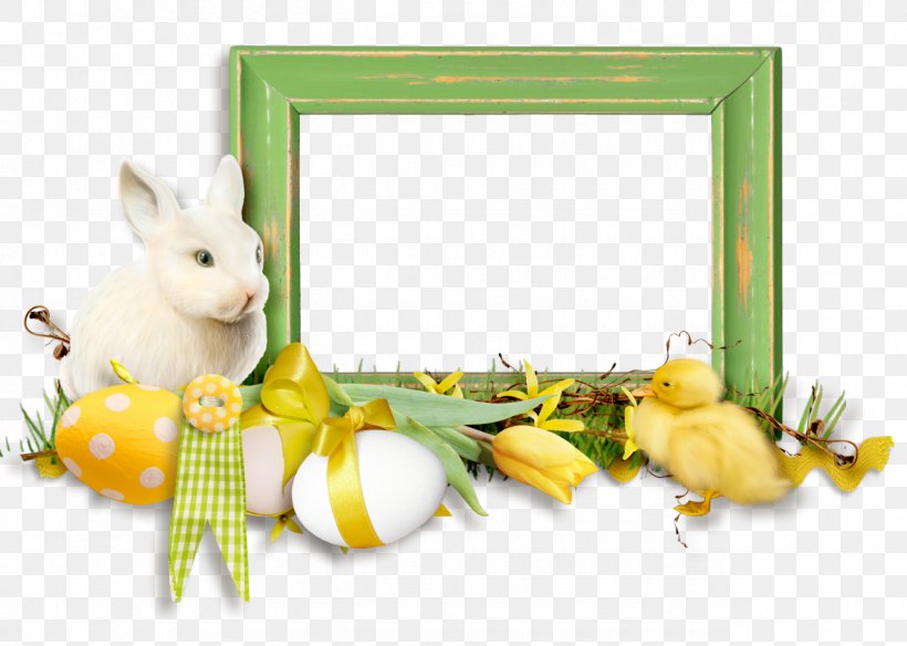 Domestic Rabbit Easter Bunny Hare Picture Frames, PNG, 1280x913px, Domestic Rabbit, Easter, Easter Bunny, Flower, Hare Download Free