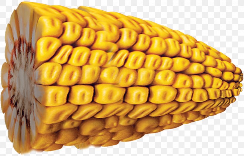 Finance Corn On The Cob Maize Money Credit, PNG, 1150x738px, Finance, Commodity, Corn Kernel, Corn Kernels, Corn On The Cob Download Free