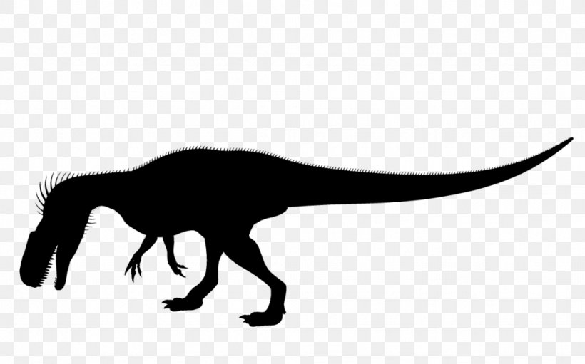 Tyrannosaurus Silhouette Black White Clip Art, PNG, 1024x639px, Tyrannosaurus, Black, Black And White, Dinosaur, Fauna Download Free
