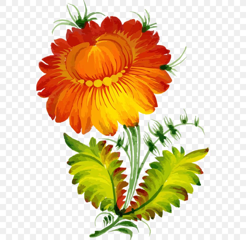 Art, PNG, 577x800px, Art, Annual Plant, Calendula, Chrysanths, Cut Flowers Download Free