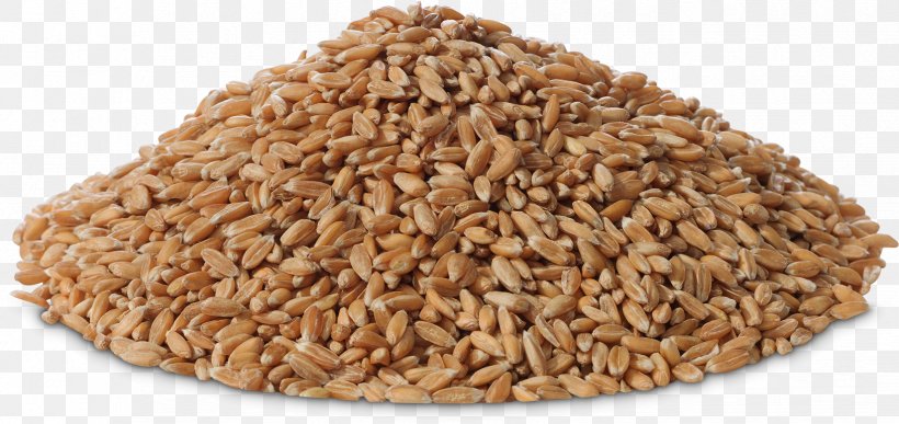 Oat Cereal Germ Whole Grain Spelt, PNG, 1648x778px, Oat, Bran, Cereal, Cereal Germ, Commodity Download Free