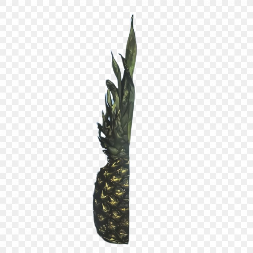 Pineapple, PNG, 2000x2000px, Pineapple, Alismatales, Ananas, Anthurium, Arum Family Download Free