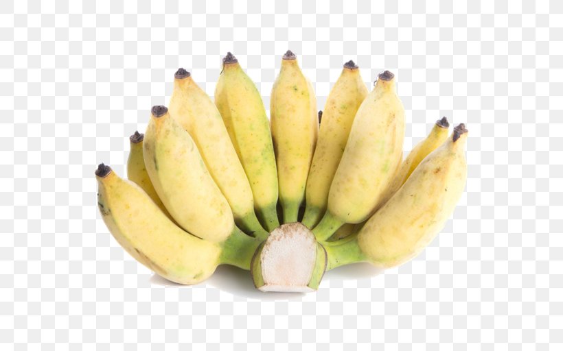 Saba Banana Cooking Banana Lady Finger Banana Pisang Awak, PNG, 682x512px, Saba Banana, Banana, Banana Family, Cavendish Banana, Cooking Banana Download Free
