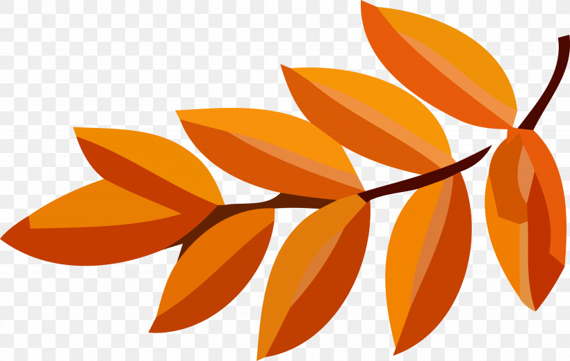 Autumn Leaf Fall Leaf Yellow Leaf, PNG, 3288x2084px, Autumn Leaf, Fall Leaf, Flower, Leaf, Orange Download Free