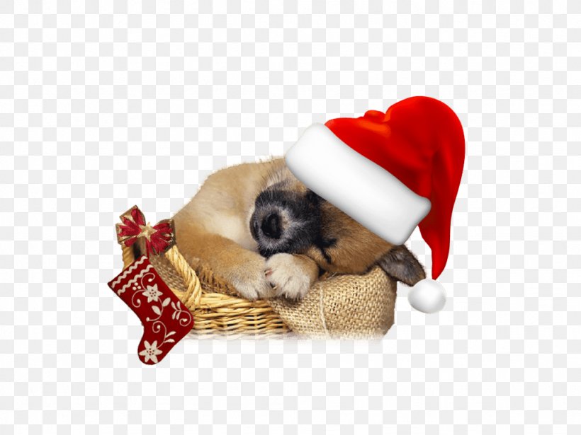 Dog Christmas Tree Santa Claus Puppy, PNG, 1024x768px, Dog, Animal, Bonnet, Carnivoran, Christmas Download Free