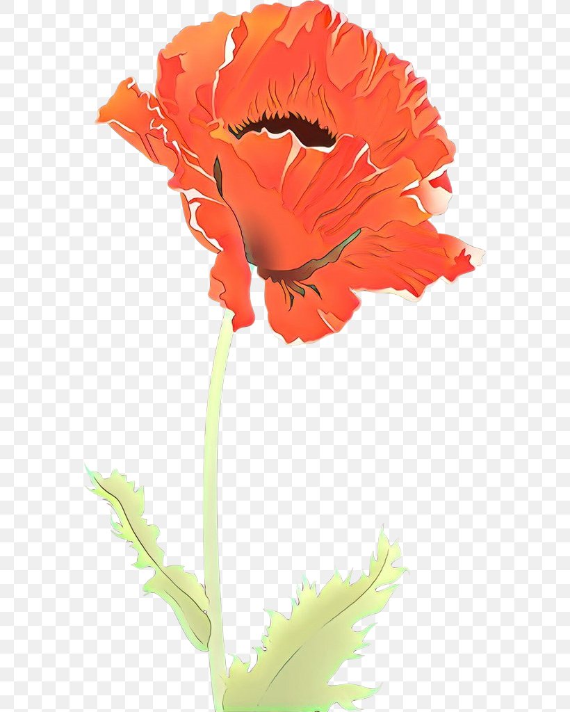 Orange, PNG, 577x1024px, Cartoon, Coquelicot, Corn Poppy, Cut Flowers, Flower Download Free