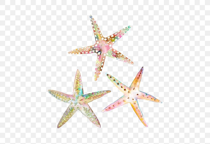 Watercolor Painting Drawing Starfish Illustration, PNG, 564x564px