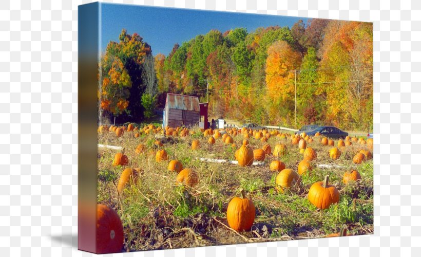 Autumn In New England Painting Ecosystem PNG