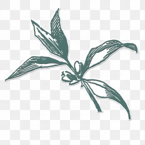 Green Flowers Vintage Effects Creative Elements - Flower Green Illustration PNG