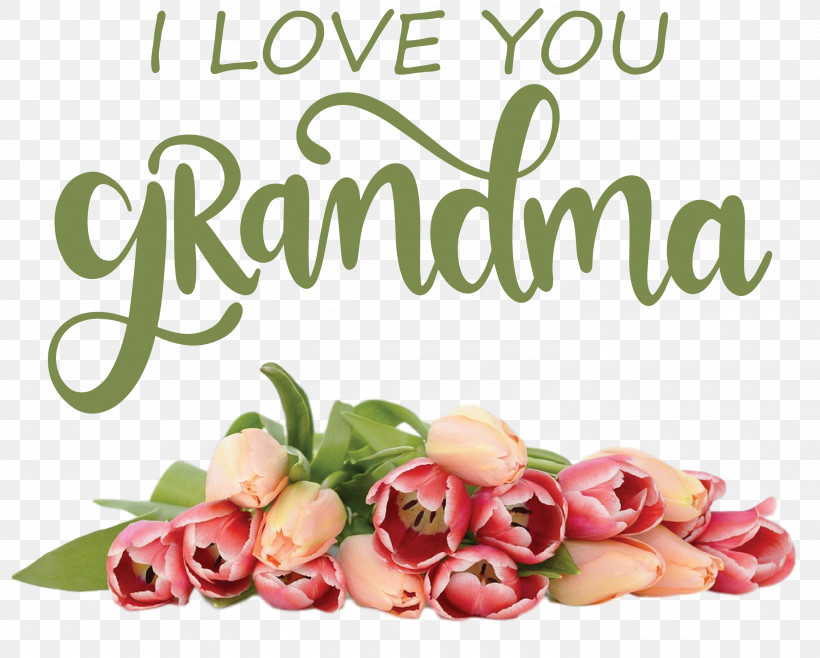 Grandmothers Day Grandma, PNG, 3000x2408px, Grandmothers Day, Day, Fathers Day, Floristry, Flower Bouquet Download Free