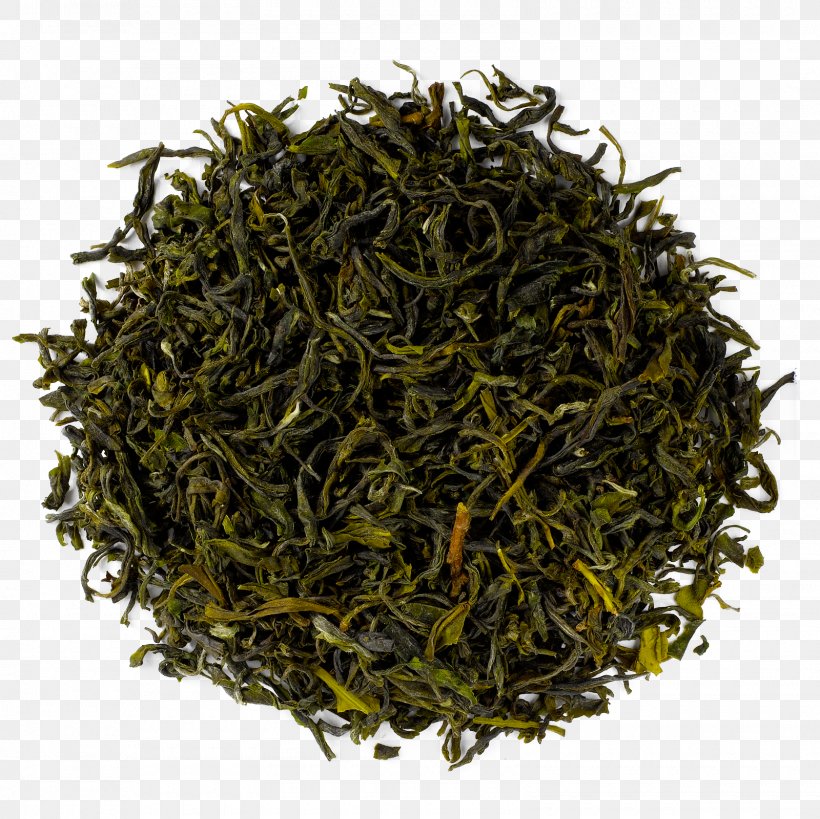 Hōjicha Gyokuro Green Tea Sencha, PNG, 1600x1600px, Hojicha, Assam Tea, Bai Mudan, Baihao Yinzhen, Bancha Download Free