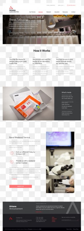 Pathology Lab - Web Development Pentagram Corporate Identity PNG