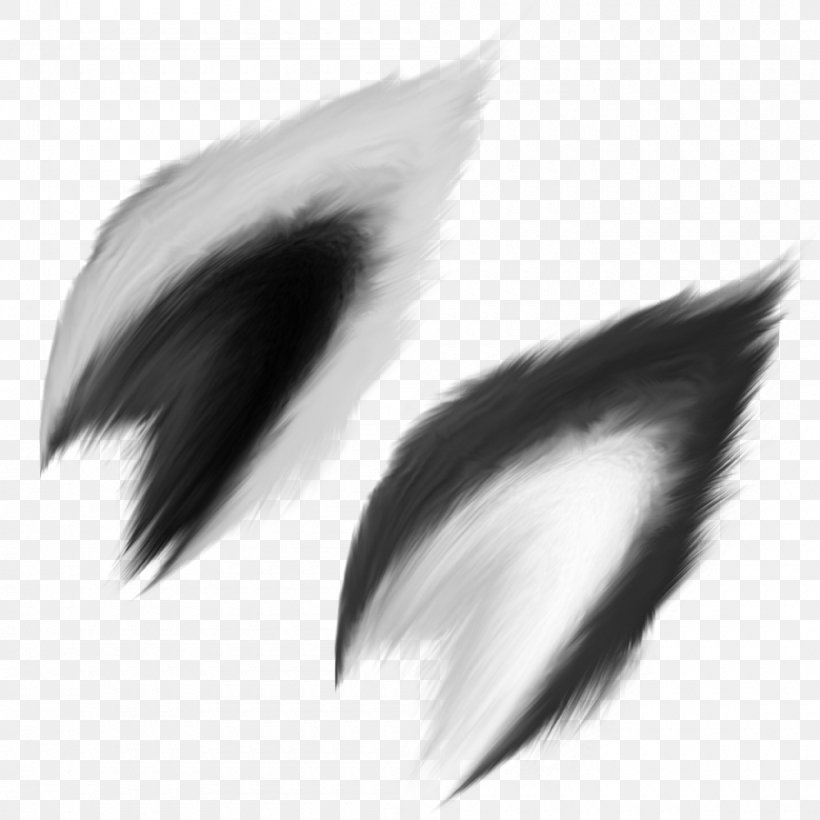Gray Wolf Ear Drawing Art Clip Art, PNG, 1000x1000px, Gray Wolf, Art, Black, Black And White, Black Wolf Download Free
