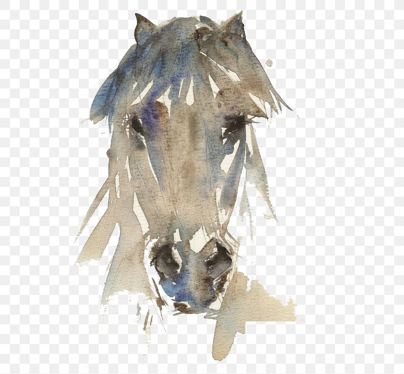 Horse Watercolor Painting Drawing Art, PNG, 570x761px, Horse, Art, Artist, Canvas, Contemporary Art Download Free