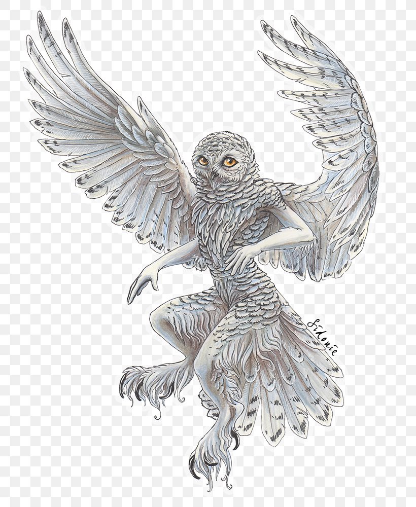 Snowy Owl Bird Drawing Barn Owl, PNG, 754x1000px, Owl, Art, Barn Owl, Beak, Bird Download Free