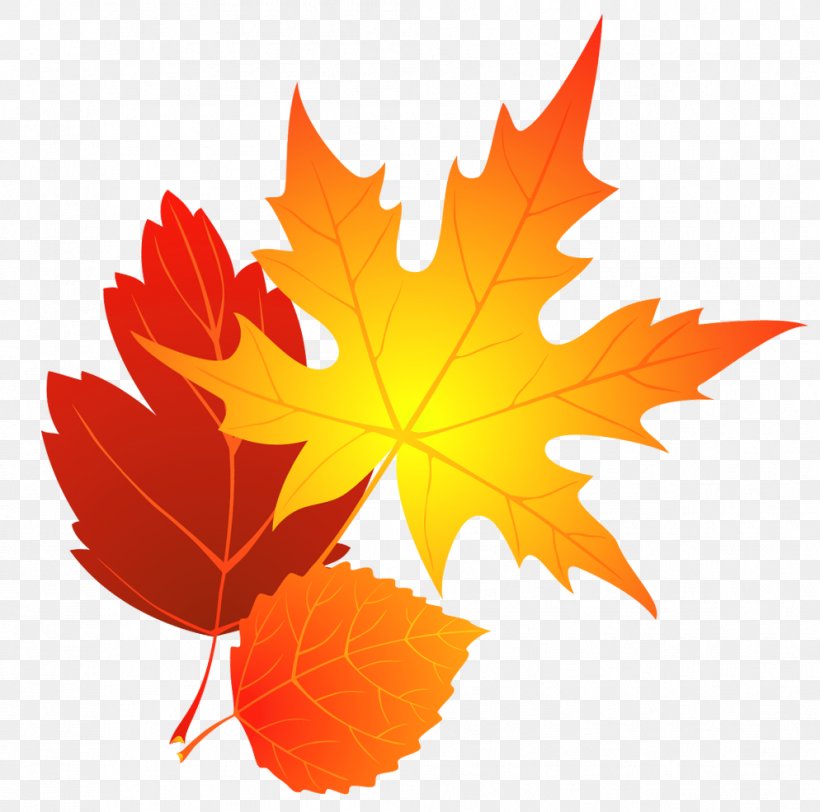 Transparent Fall Leaves Clipart, PNG, 994x985px, Autumn, Autumn Leaf Color, Blog, Color, Concentration Download Free