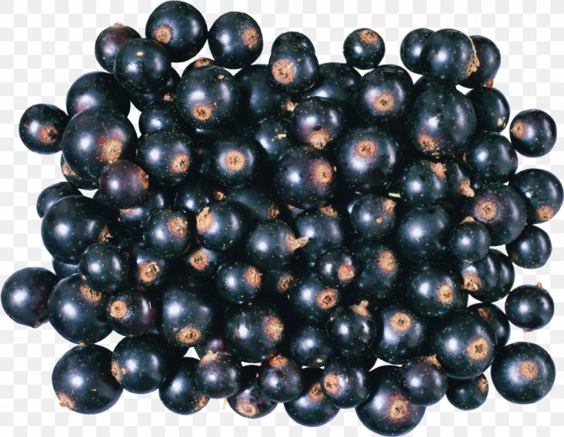 Berry Fruit Superfood Bilberry Food, PNG, 989x768px, Berry, Bilberry, Currant, Food, Fruit Download Free