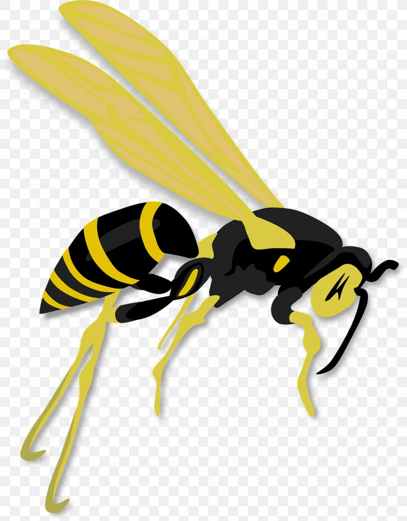 Hornet Bee Wasp Clip Art, PNG, 999x1280px, Hornet, Arthropod, Bee, Fly, Free Content Download Free