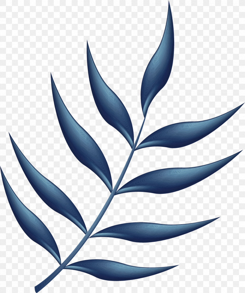Plant Stem Branch Leaf Line Pattern, PNG, 2509x3000px, Leaf, Biology, Branch, Line, Paint Download Free