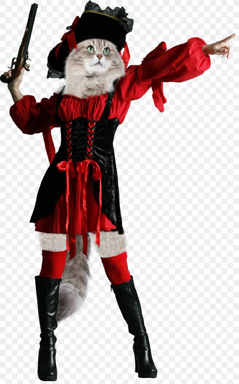 Santa Claus Christmas Ornament Costume Character, PNG, 2037x3271px, Santa Claus, Character, Christmas, Christmas Ornament, Costume Download Free