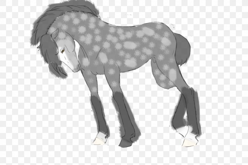 Stallion Mustang Mane Halter, PNG, 1024x683px, Watercolor, Cartoon, Flower, Frame, Heart Download Free