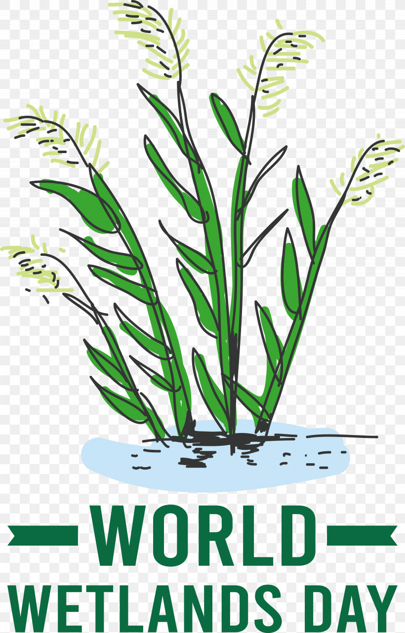World Wetlands Day, PNG, 5688x8895px, World Wetlands Day Download Free