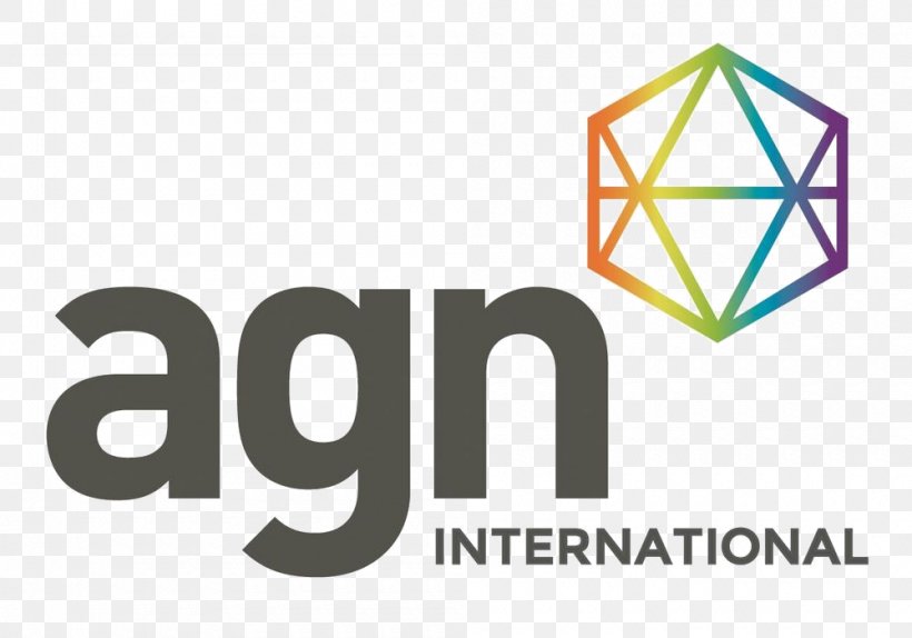 Accounting Business Certified Public Accountant Agn International Limited Audit, PNG, 1000x700px, Accounting, Accountant, Area, Audit, Brand Download Free