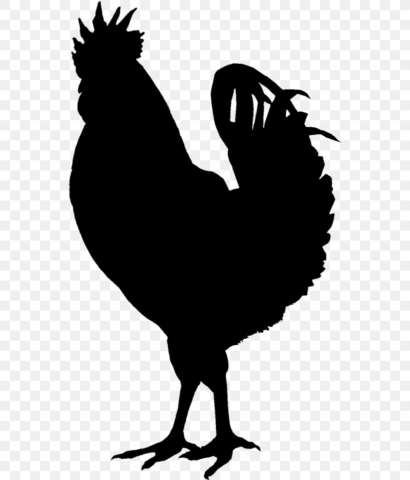 Chicken Nugget Background, PNG, 547x958px, Silkie, Beak, Bird, Black Turkey, Buffalo Wing Download Free