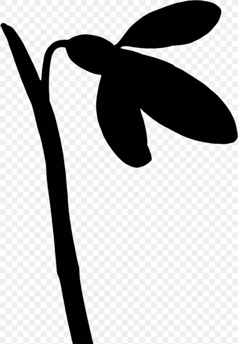 Clip Art Leaf Line Silhouette H&M, PNG, 886x1280px, Leaf, Blackandwhite, Botany, Coloring Book, Flower Download Free