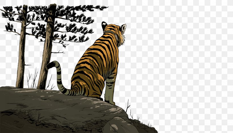 Siberian Tiger Упорный Wildlife Big Cat, PNG, 1600x912px, Tiger, Amur River, Big Cat, Big Cats, Carnivoran Download Free