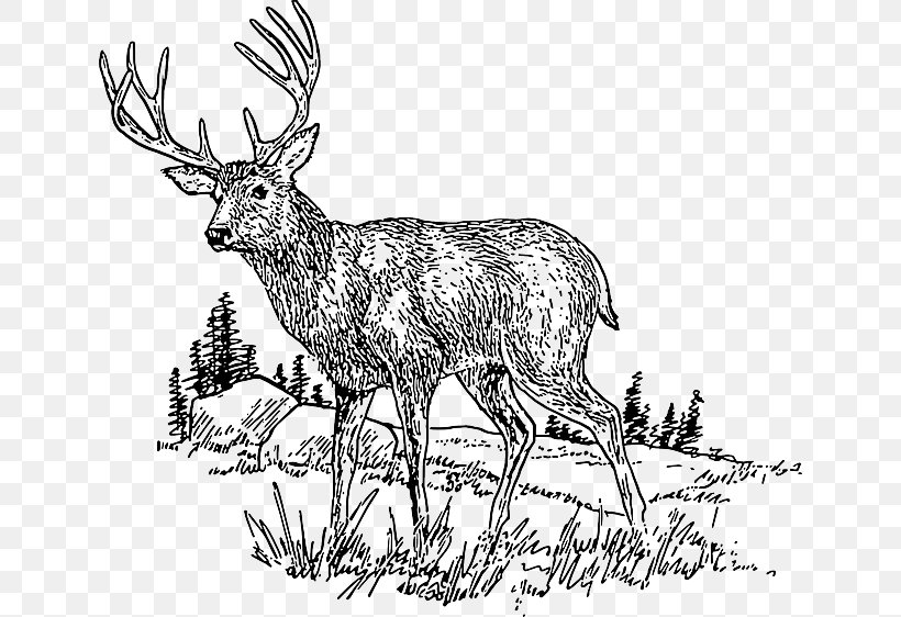 White-tailed Deer Clip Art Openclipart Free Content, PNG, 640x562px, Deer, Antler, Black And White, Deer Hunting, Elk Download Free