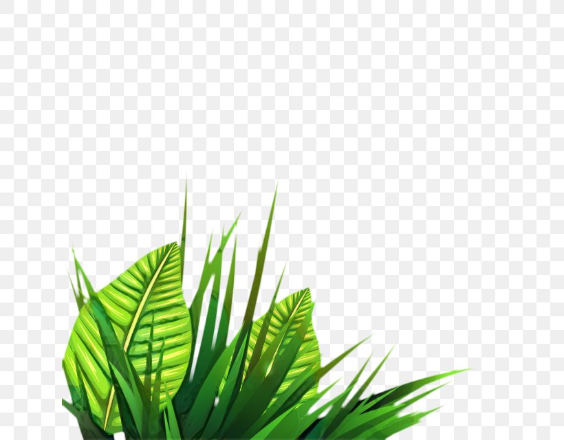 Family Tree Background, PNG, 640x640px, Leaf, Arecales, Computer, Flower, Grass Download Free