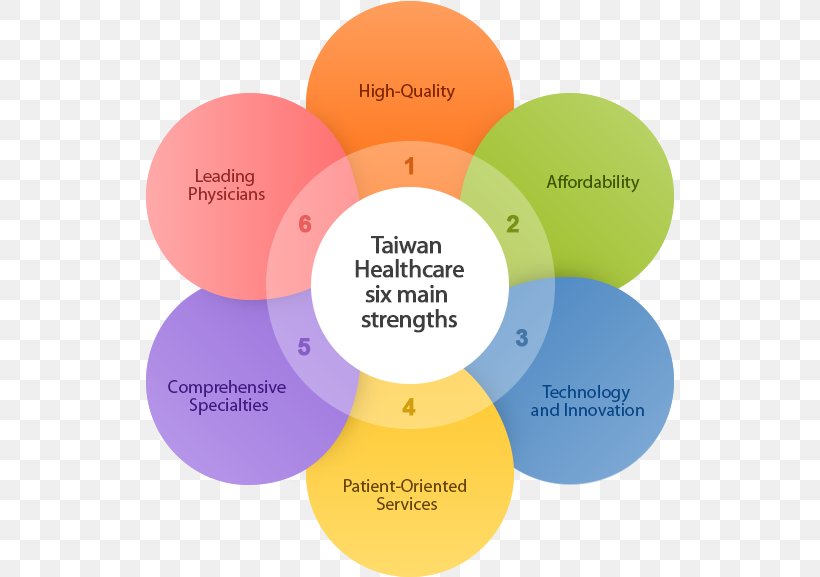 Health Care Health System Medicine Taiwan 全民健康保险, PNG, 528x577px, Health Care, Brand, Communication, Diagram, Health Download Free