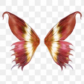 Fairy Wings Images Fairy Wings Transparent Png Free Download