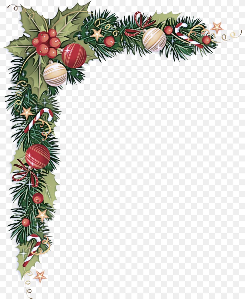 Christmas Decoration, PNG, 800x1000px, Colorado Spruce, Branch, Christmas Decoration, Fir, Holly Download Free