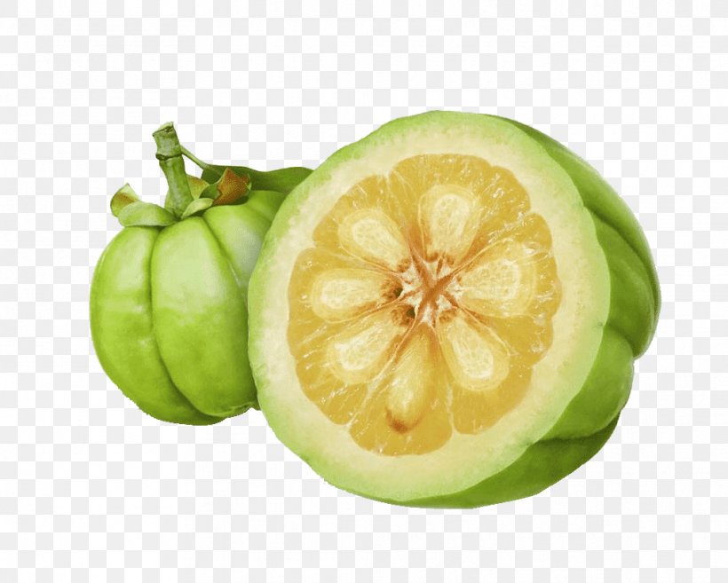 Garcinia Gummi-gutta Dietary Supplement Weight Loss Food, PNG, 1011x811px, Garcinia Gummigutta, Antiobesity Medication, Citron, Citrus, Cucumber Gourd And Melon Family Download Free