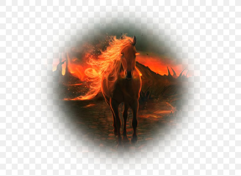 Mane Desktop Wallpaper Mustang ArtFire ArtHorse, PNG, 602x602px, Mane, Artfire, Computer, Fire, Flame Download Free