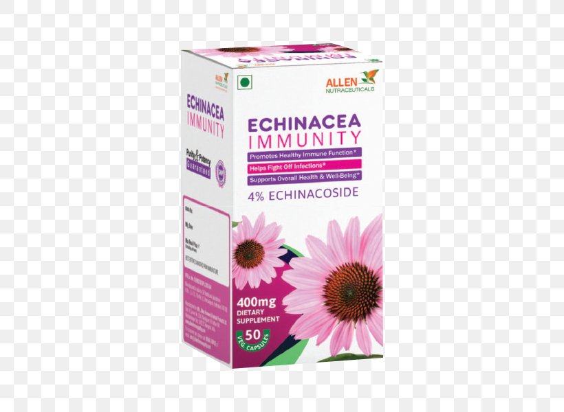 Immunity Immune System Infection Echinacea Purpurea Disease, PNG, 600x600px, Immunity, Capsule, Common Cold, Coneflower, Disease Download Free