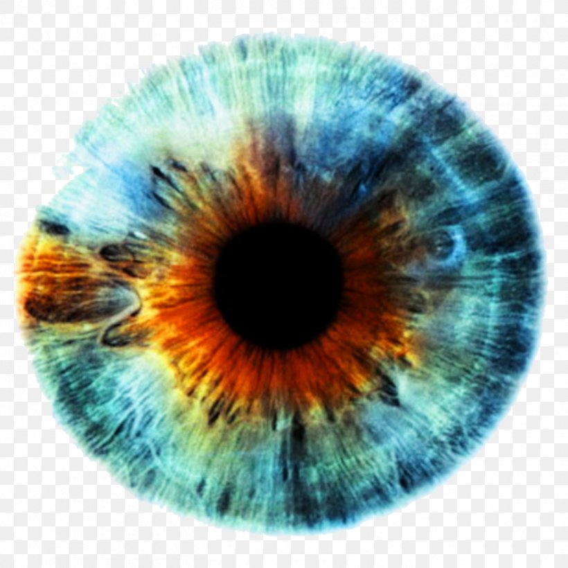 Iris Human Eye Eye Color, PNG, 1400x1400px, Watercolor, Cartoon, Flower, Frame, Heart Download Free
