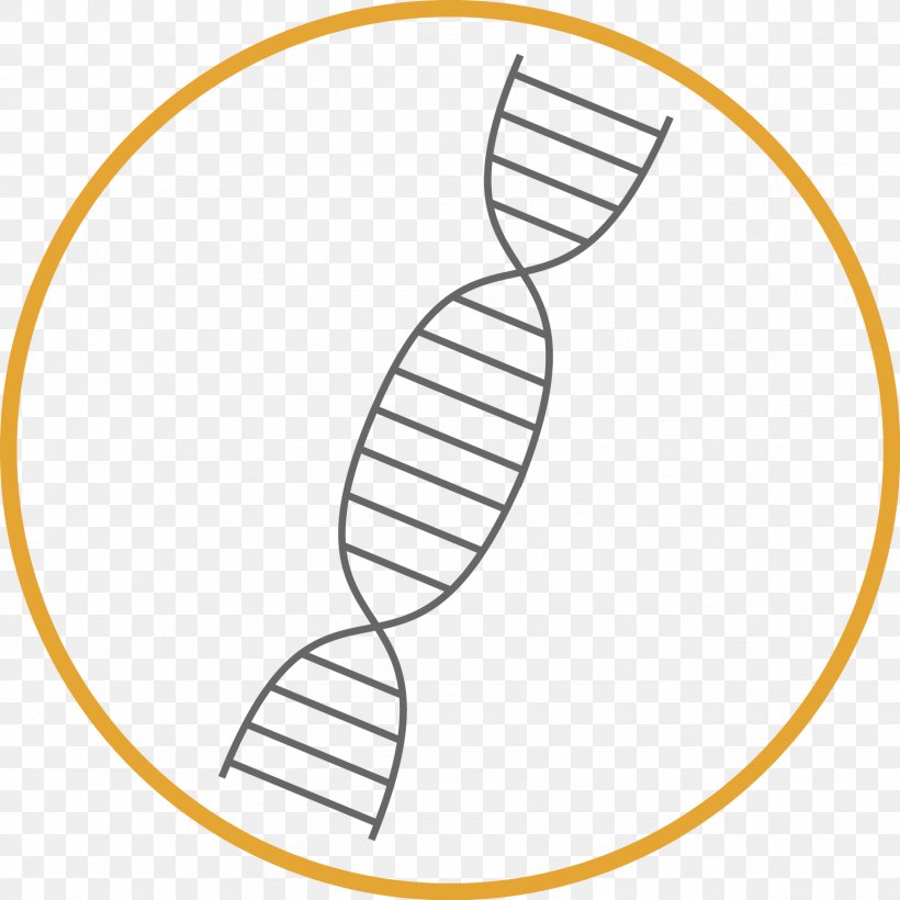 Weidevenne Drawing Clip Art, PNG, 1554x1554px, Drawing, Adna, Area, Diagram, Dna Download Free