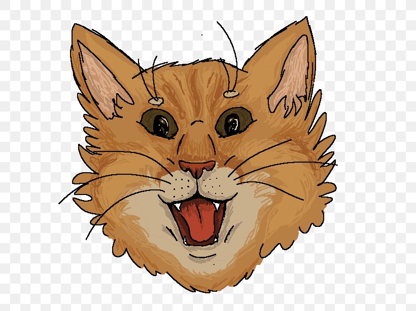 Whiskers Kitten Wildcat Tabby Cat, PNG, 686x614px, Watercolor, Cartoon, Flower, Frame, Heart Download Free