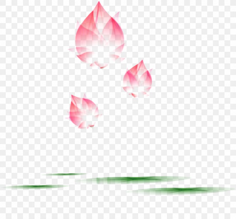 Petal Rose Family Desktop Wallpaper Pink M, PNG, 1000x928px, Petal, Closeup, Computer, Flower, Leaf Download Free
