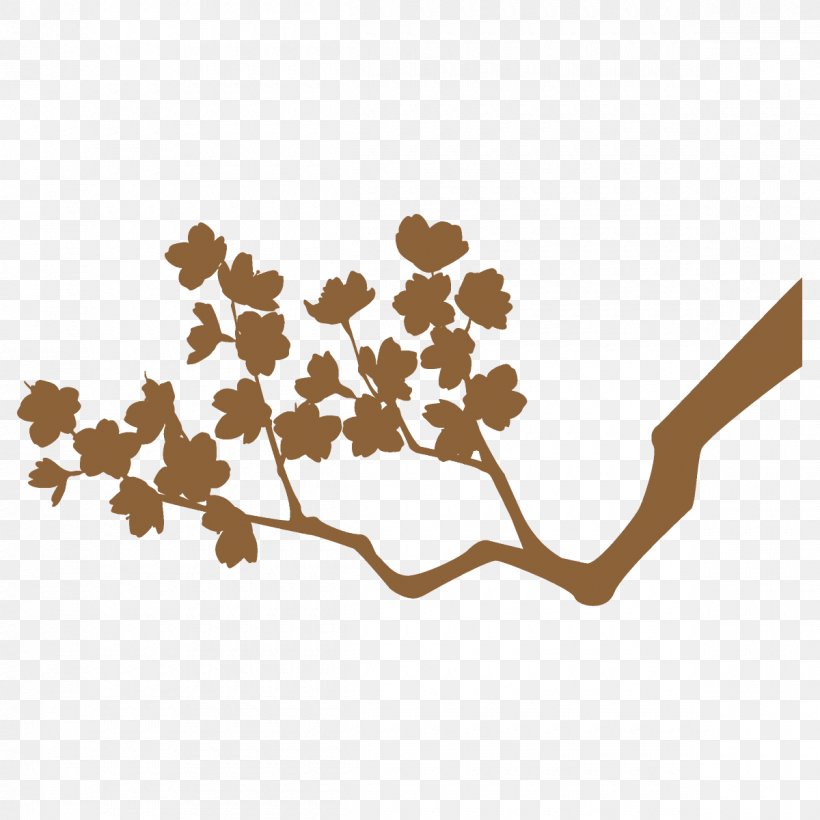 Plane, PNG, 1200x1200px, Branch, Blossom, Flower, Plane, Plant Download Free