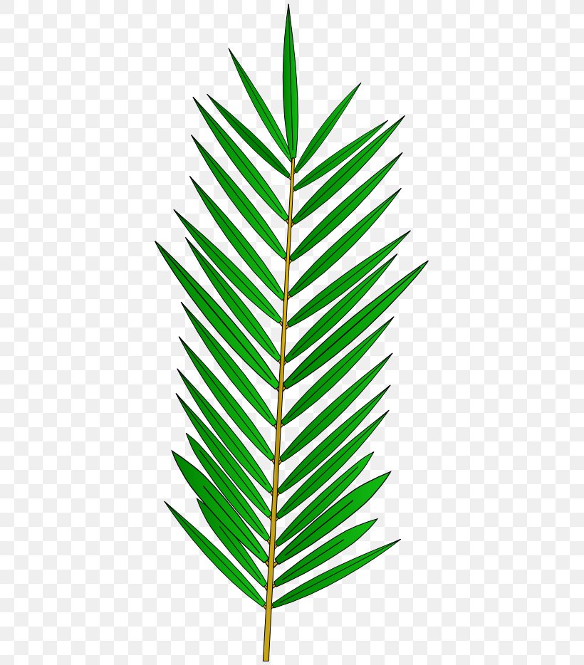 Arecaceae Grasses Line Plant Stem Leaf, PNG, 395x934px, Arecaceae, Arecales, Family, Grass, Grass Family Download Free