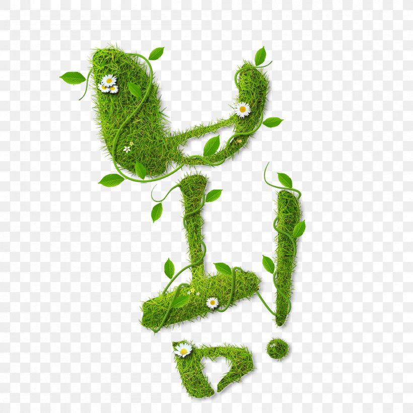 Green Poster, PNG, 1000x1000px, Green, Amphibian, Fauna, Frog, Grass Download Free