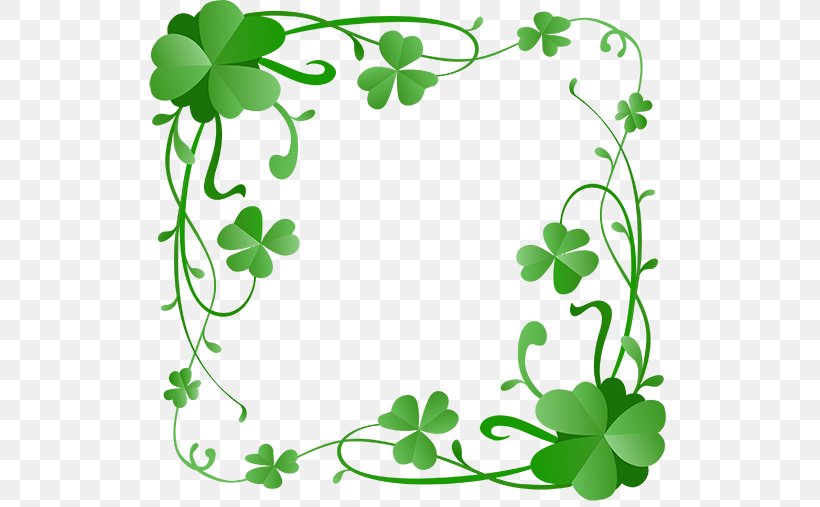 Saint Patrick's Day Clover 17 March Shamrock Clip Art, PNG, 550x507px, 17 March, Clover, Area, Branch, Flora Download Free
